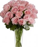 PINK ROSES
