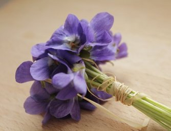 Něco o fialových květinách...