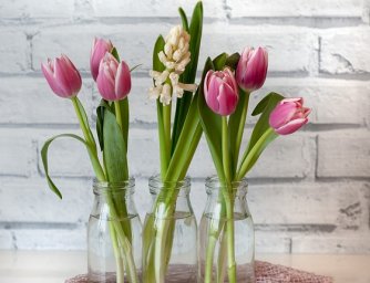 Oblíbené jarní květiny