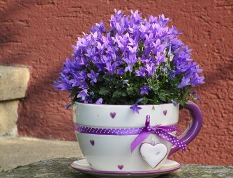 Domácí květinové aranžmá