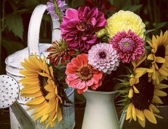 Správná péče o květiny