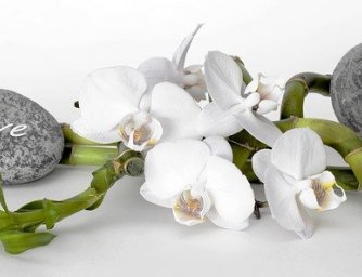 Květiny podle Feng Shui