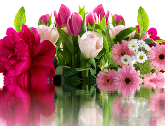 Květiny pro zimní období