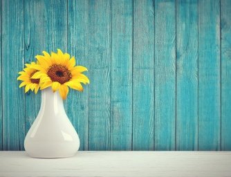 Barvy květů pro lepší náladu