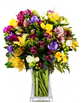 ALSTROMERIE + FREZIE