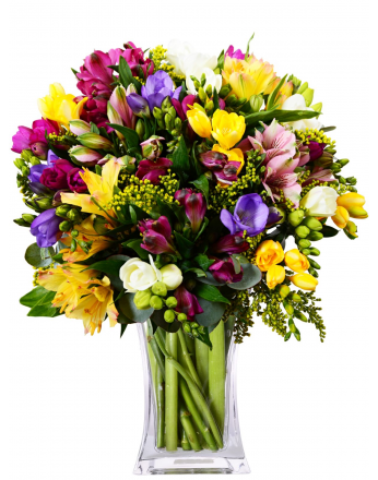 ALSTROMERIE + FREZIE