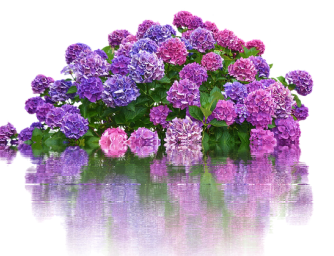 Znáte Galentine´s day?