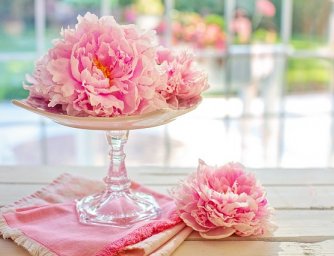 Jaké květiny při narození dítěte