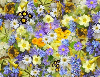 Jarní květiny pro váš domov