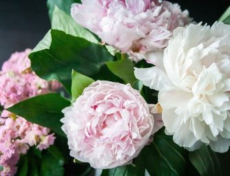 Jaké květiny pro jarní oslavence