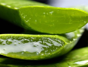 Pokojové rostliny s pozitivním účinkem pro krásu