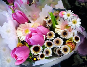 Květina k narozeninám - nejlepší druhy květin, které můžete věnovat k narozeninám