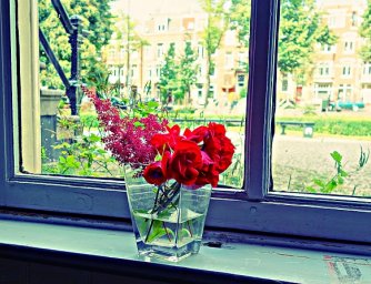 Šest základních kroků, jak naaranžovat správně kytici do vázy