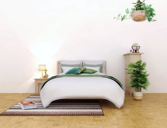 Vlhkost a vaše pokojové rostliny