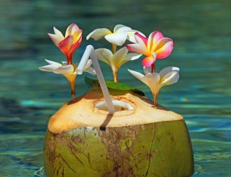 Netradiční květinové koktejly