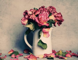 Usušte si svou kytici - 1. díl: Tradiční sušení