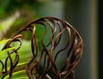 Nejčastější důvody, proč se u vás květinám nedaří