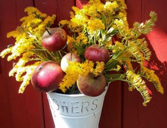 Jedenáct podzimních květin pro dokonalou podzimní atmosféru