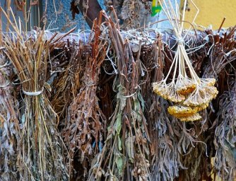 Jak usušit a skladovat zahradní bylinky