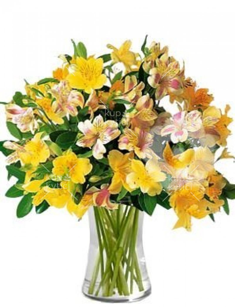 Bouquet of colored alstroemerias