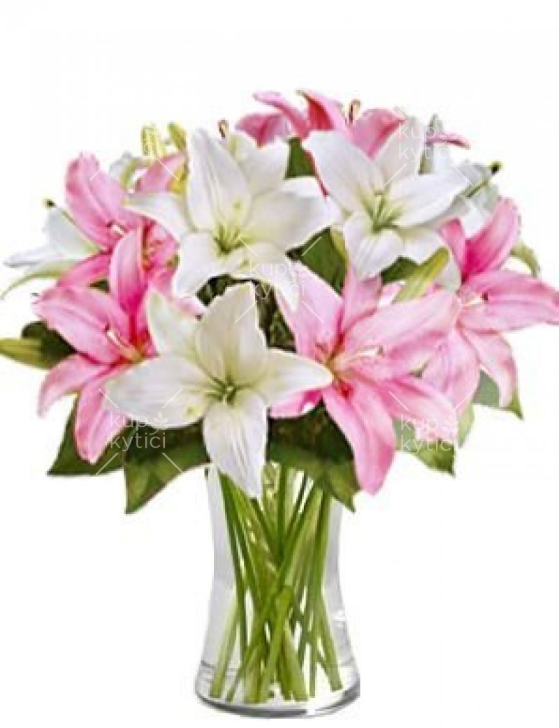 Bouquet of white and pink lilies of Anastasia
