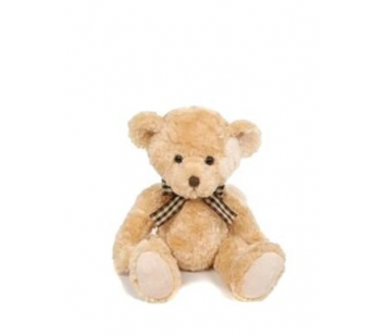 PLYŠOVÝ MEDVĚD