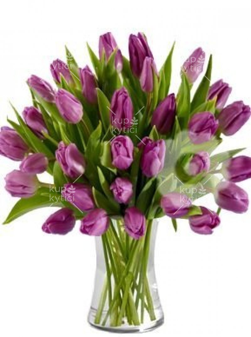 Kytice fialových tulipánů 3