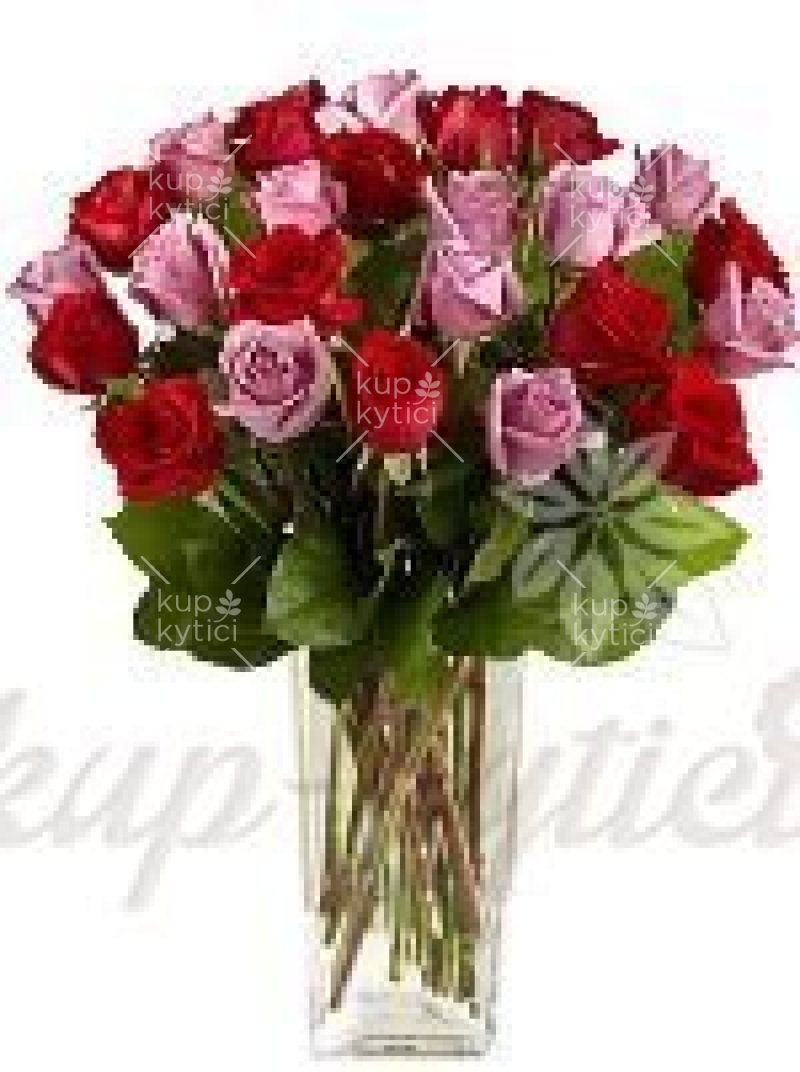A combination of red and pink roses