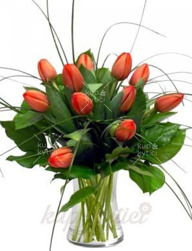 Bouquet of fresh tulips