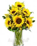 SUNNY