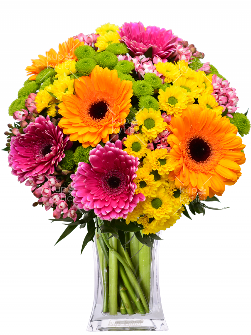 Bouquet of colored gerberas and santines Gerby