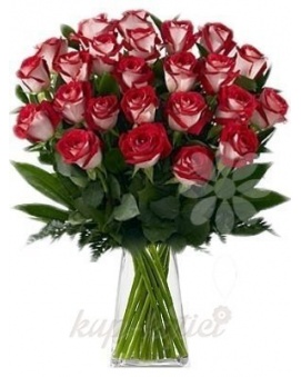 KYTICE ŽÍHANYCH RUŽÍ