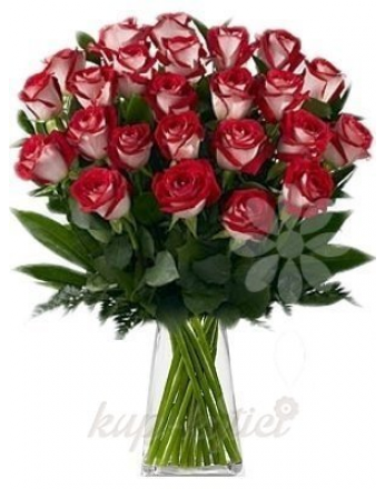 KYTICE ŽÍHANYCH RUŽÍ