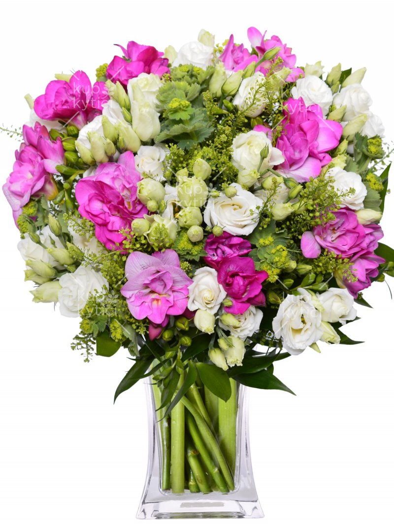 Frezie + Eustoma : Kup Kytici online