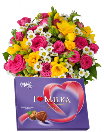 KYTICE SUNNYS + MILKA 110 g